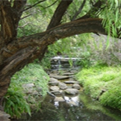 Gallery Image Number 3