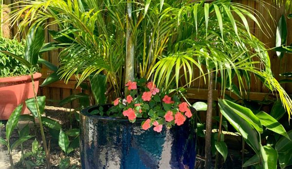 Pots & Ponds - Bungalow, QLD