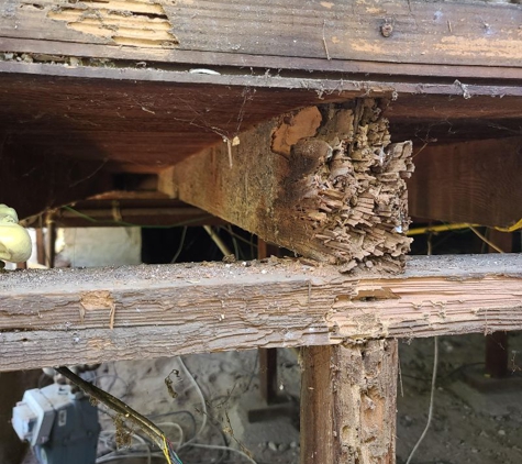 So Cal Termite Solutions - Temple City, CA. Subterranean Termite damage.