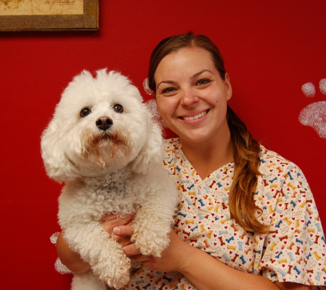 Town & Country Veterinary Hospital - Pleasanton, CA