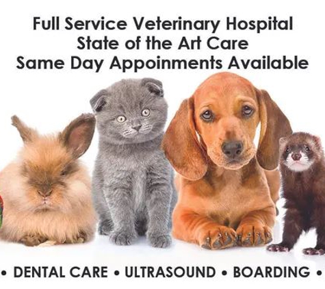 Towson Veterinary Hospital - Towson, MD