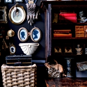 Gallery Image Number 1