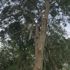 Tree and Land services