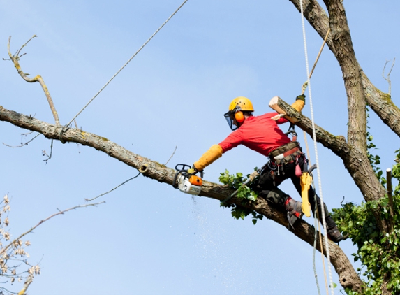 Highpoint Tree Care - Spring, TX