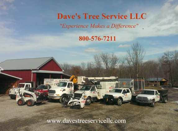Dave's Tree Service LLC - Gregory, MI