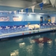 United States Swim Academy