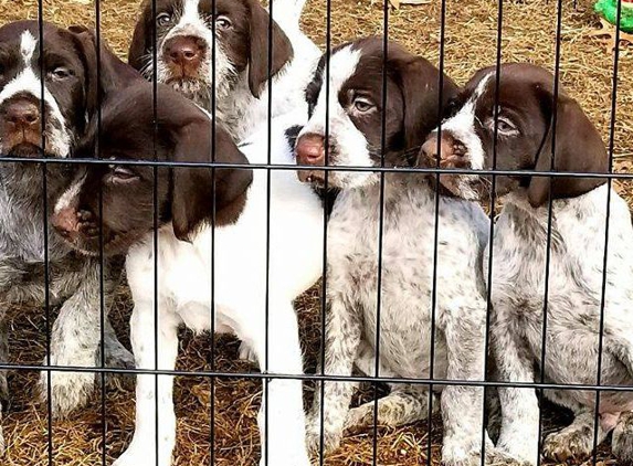 North Star Kennels - Mankato, MN