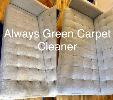 Always Green Carpet Cleaner - New York, NY