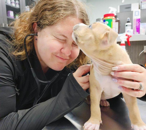 Pawsh Veterinary Clinic - Maize, KS