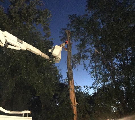 Mel's Firewood & Tree Service - Indiana, PA