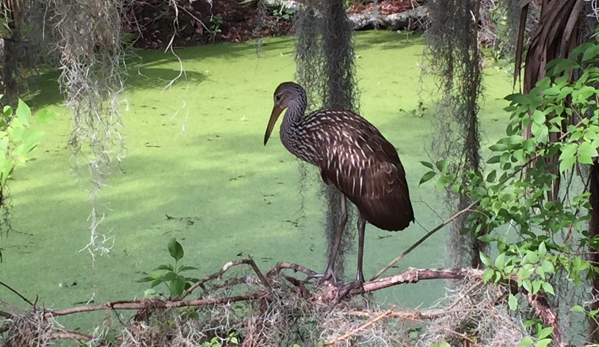 Circle B Bar Reserve - Lakeland, FL