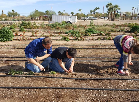 Agave Farms - Phoenix, AZ