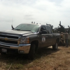 Busy Beaver Tree Service