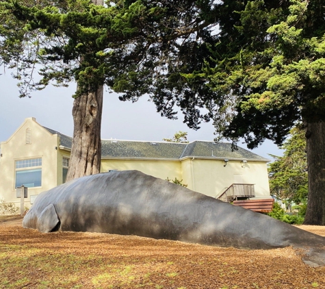 Santa Cruz Museum of Natural History - Santa Cruz, CA