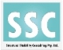 Structural Stability Consulting Pty Ltd Logo
