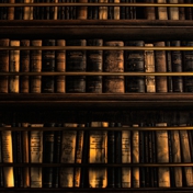 Gallery Image Number 4