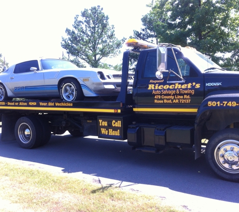 Ricochet's Auto Salvage & Towing - Rose Bud, AR