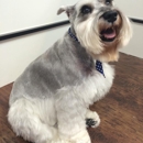 Foxy Hound Pet Salon - Pet Services