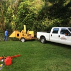 TriCounty Tree Service