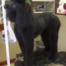 Dawgy Style Groom Shop - Pet Grooming