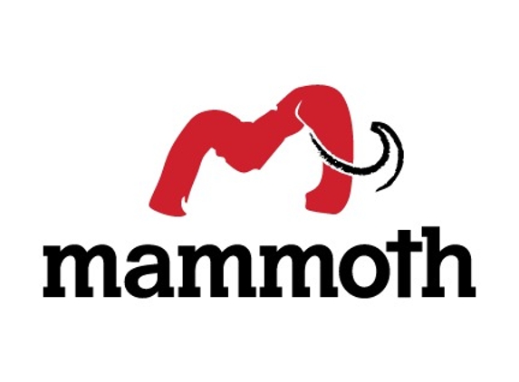 Mammoth Restoration Arizona - Flagstaff, AZ