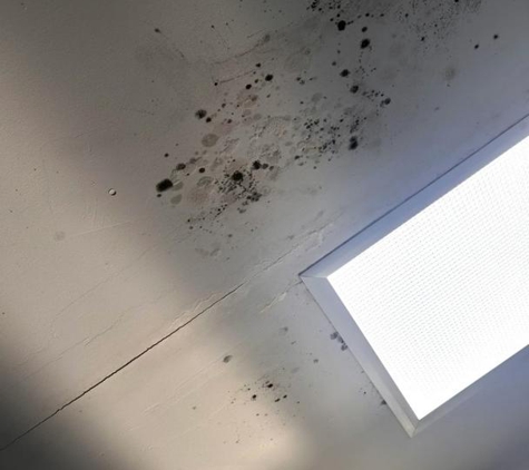 A.A.A. Bargain Skylights - Aldinga Beach, SA. Mould from leaking