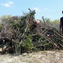 Black Bear Handyman and lawn care - Handyman Services