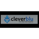 Cleverblu - Swimming Pool Repair & Service