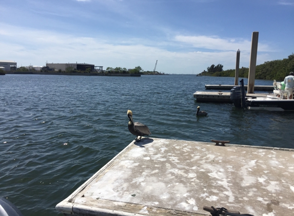 iTrekkers - Fishing Charters - Tampa, FL
