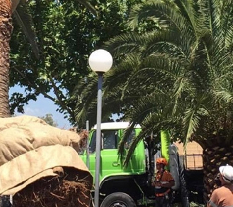 Hunter TLC Tree & Lawn Care