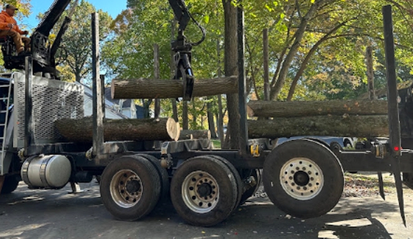 PA Triple A Tree Service - Feasterville-Trevose, PA