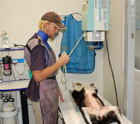 Macleay Valley Veterinary Services - Kempsey, NSW