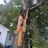 Jensen Lawn & Landscaping and Tree Service gallery