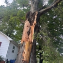 Jensen Lawn & Landscaping and Tree Service - Tree Service
