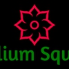 Trillium Square Advisors LLC gallery