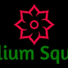 Trillium Square Advisors LLC