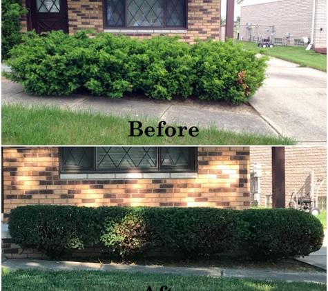 BoBeetles Lawn Care & Snow Removal - Sterling Heights, MI