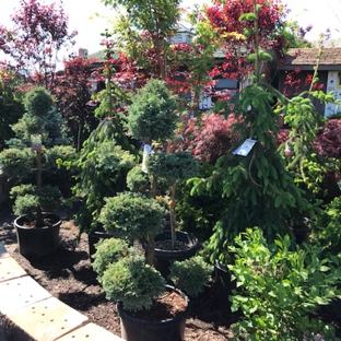 East End Trees - Kings Park, NY