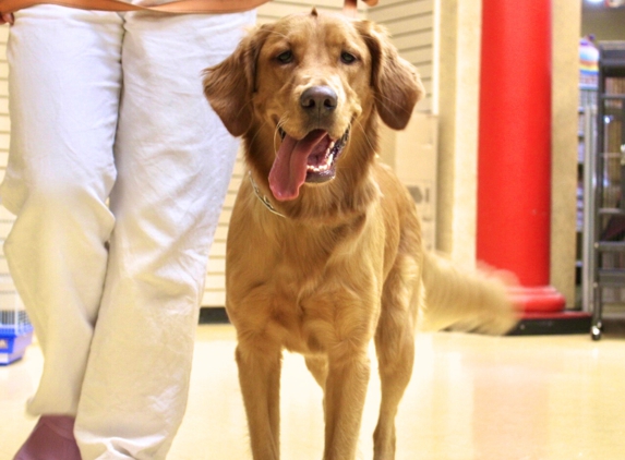 Obedience & Training State Street - New Albany, IN