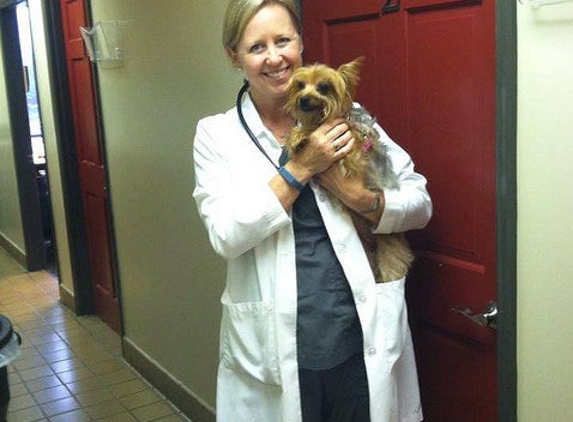 Sandy Springs Animal Clinic - Atlanta, GA