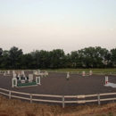 Westfield Equestrian Farm LLC - Horse Training