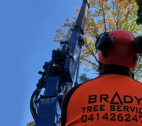 Brady Tree Service Pty Ltd. Qualified and trained to do any type of tree work and trained in operating the high risk machinery.