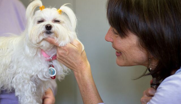 Sunvet Animal Wellness Clinic - Asheville, NC