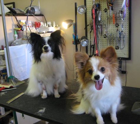 Clipper Ship Pet Grooming - Lake Mary, FL