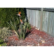 Gallery Image Number 8