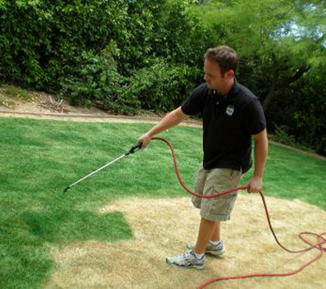 Affordable Grass Painting Service - San Diego, CA