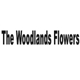 The woodland flowers