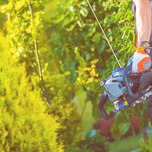 CAS Tree Service - Vineland, NJ