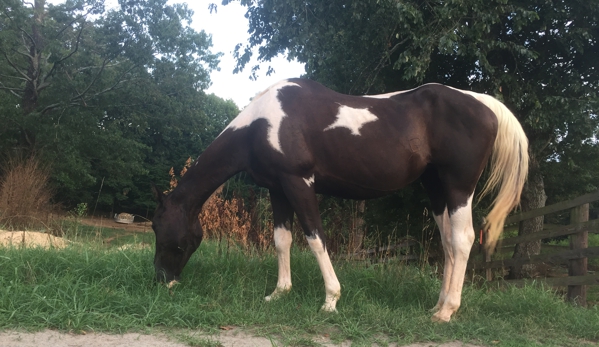 Trinity Stables - Lawrenceville, GA