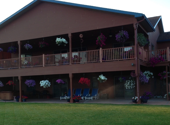 Petunia Factory - Butte, MT